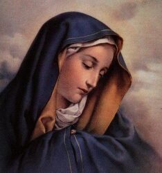 المرأة الفاضلة – ماهر ميشيل