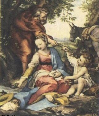 العائلة مسؤولية الكنيسة و الدولة