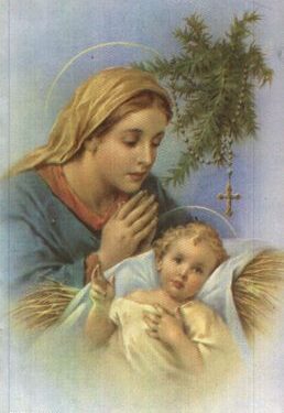 سيكولوجية الطفولة – الأستاذ موريس آكوب