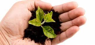 كيف نعلّم أولادنا الإصغاء – إعداد سلام سيدة