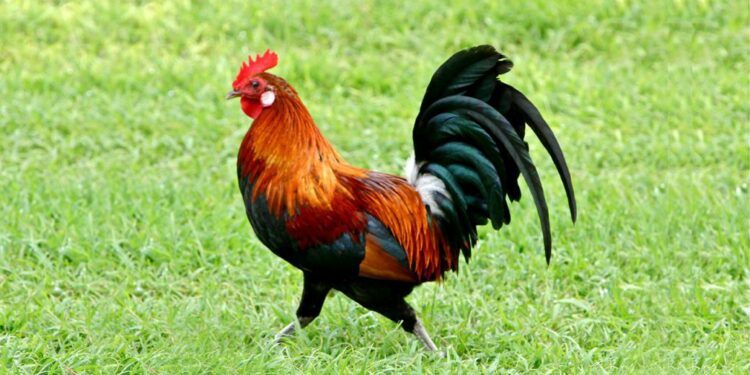 “لا تتنازل عن المبادئ والقيم والأخلاق” -قصة وعبرة-