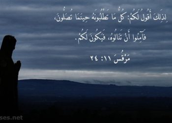 علاقة الإيمان بالسلام وعدم الخوف من كتاب حياة الإيمان – البابا شنودة الثالث