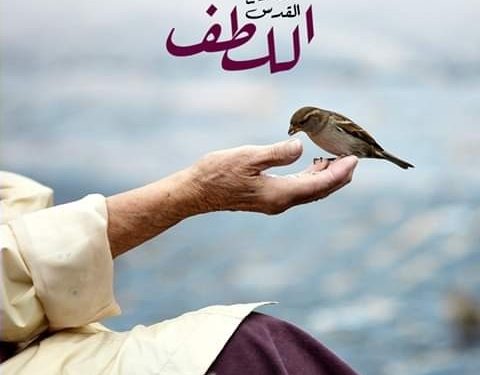 من ثمار الروح: اللطف – التراث الأرثوذكسي