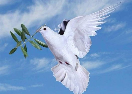 السلام من كتاب ثمر الروح – البابا شنوده الثالث (1)