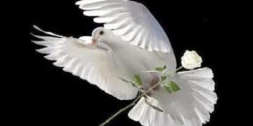 من ثمار الروح القدس (السلام) – للأب القمص أفرايم الأنبا بيشوى