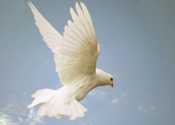 السلام من كتاب ثمر الروح – البابا شنوده الثالث (2)