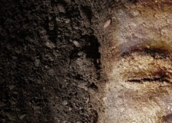 خلق الانسان على صورة الله ومثاله ـ القديس غريغوريوس النيصي