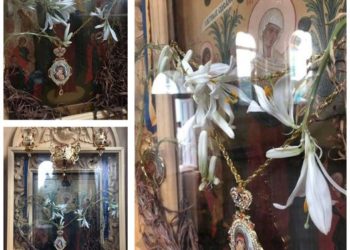 أزهار الزنبق الجافة تُزهر عجائبياً في دير كراسنوغورسك في فترة عيد العنصرة