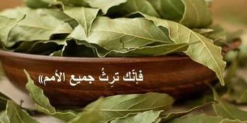 لماذا يرشون ورق الغار يوم سبت النور في الكنيسة (الطقس البيزنطي الشرقي)؟