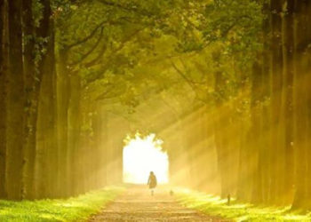 الإيمان – القديس فيلوكسينوس