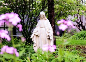 مريم العذراء… فجر يسبق شروق المخلّص