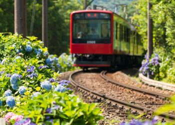 ما تزرعه اليوم تحصده فيما بعد … – قصة وعبرة