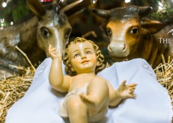 هل ميلاد المسيح نقلنا من الحزن إلى الفرح العظيم؟