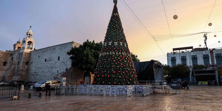 بالنسبة لشجرة عيد الميلاد – الشيخ أثناسيوس ميتيلينيوس