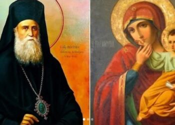 ما المقصود بعبارة (افرحي يا عروساً لا عروس لها) ومن كتب الترتيلة ؟