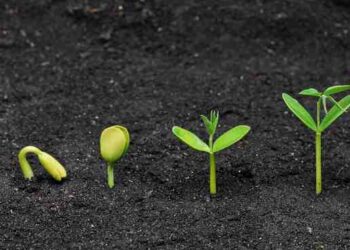 ما بعد الفلك: النسلُ يتكاثر، والأمم تنبت