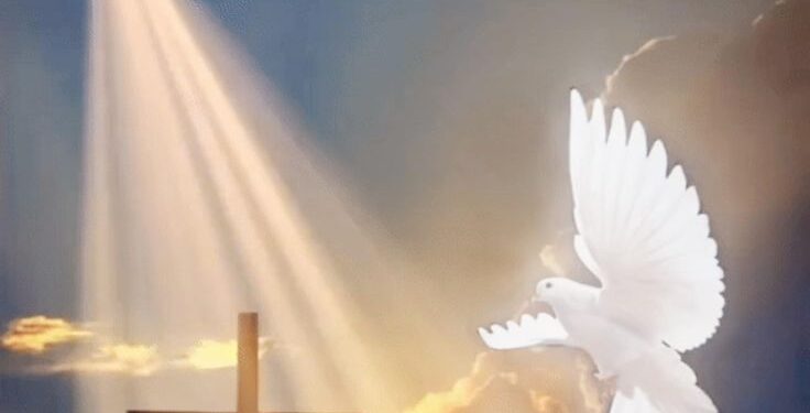 العصفور والصليب – قصة وعبرة