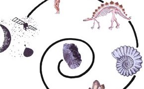 تطابق الكتاب المقدس مع علم الحفريات