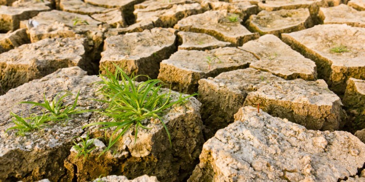 صلاة تتلى عند انقطاع المطر