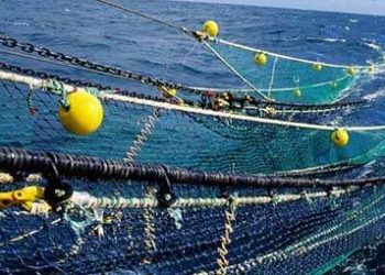 صلاة على شباك صيد