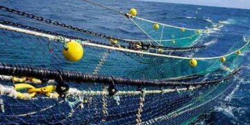 صلاة على شباك صيد