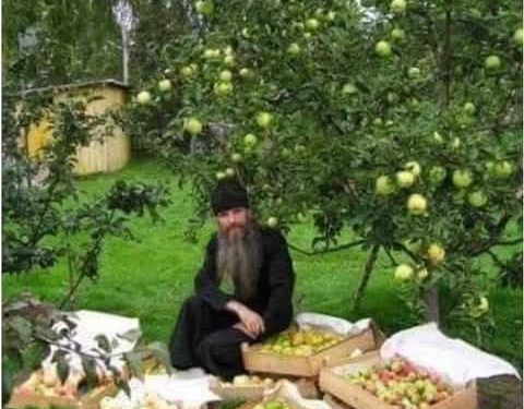 قصة وعبرة: الكاهن الفلّاح