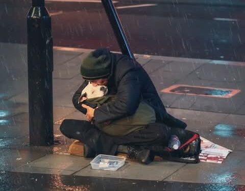 قصة تثلج القلب… عن الوفاء الحقيقي