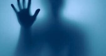 سر الأنفس المطهرية