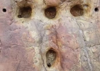 الدّبابير حمت كنيسة المهد وثُقِب عمودها على هيئة صليب