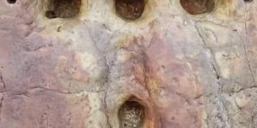 الدّبابير حمت كنيسة المهد وثُقِب عمودها على هيئة صليب